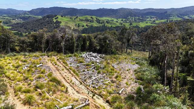 Otangaroa Side Road Kaeo_1