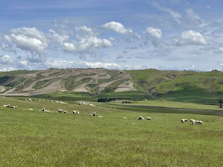 969 Nenthorn Road Moonlight_15