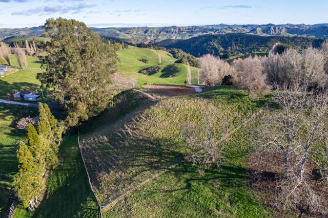 167B Tate Road Te Kuiti_3