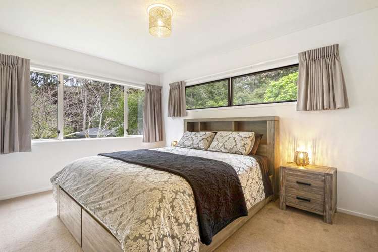 126a Foley Quarry Road Dairy Flat_11