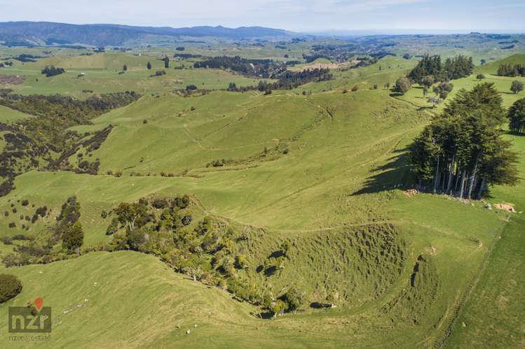 482 Table Flat Road Apiti_12