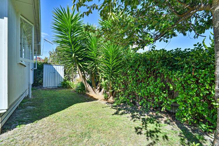 54B Joll Road Havelock North_13