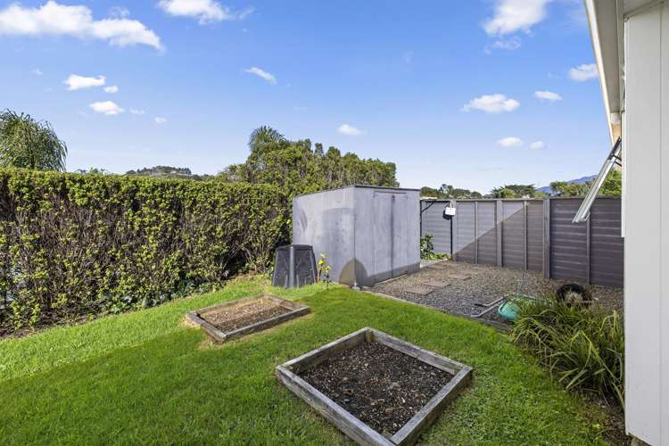 6 Puka Place Raglan_23
