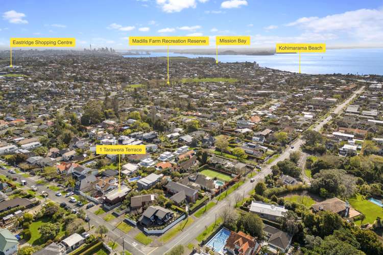 1 Tarawera Terrace Saint Heliers_32