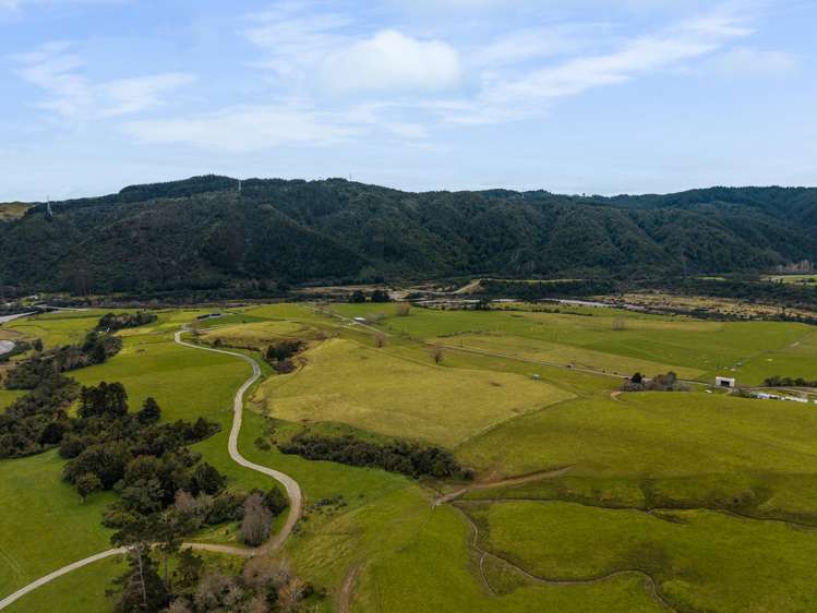 Lot 1, 2, 3, 4/74 Poads Road Levin_4