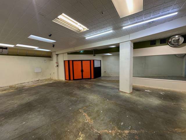 308 Ponsonby Road Ponsonby_4