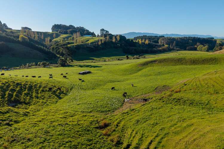 Ridge Road North Pahiatua_15