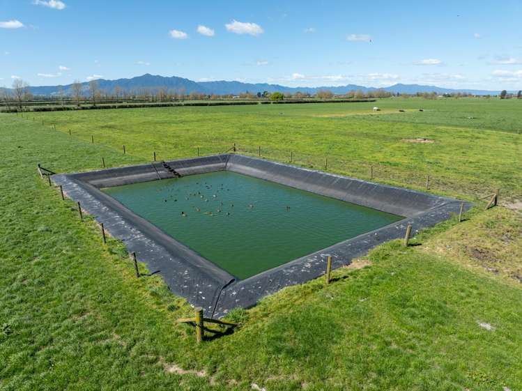 64 No 4 Road Morrinsville_9