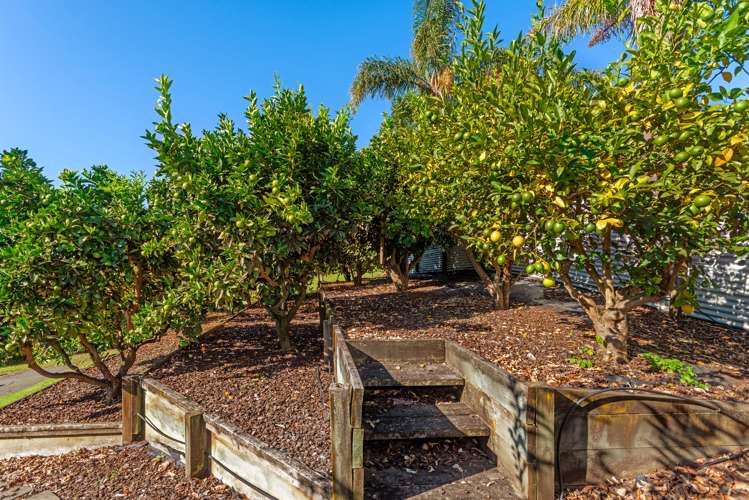 39 Ayton Street Mangapapa_34