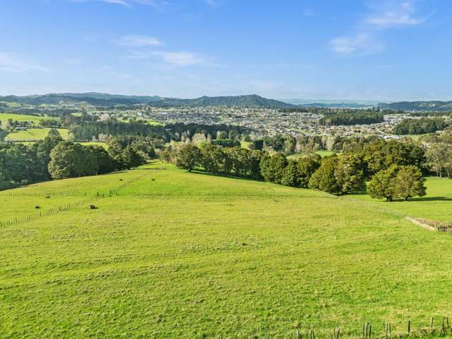 Waitaua Road Kauri_2