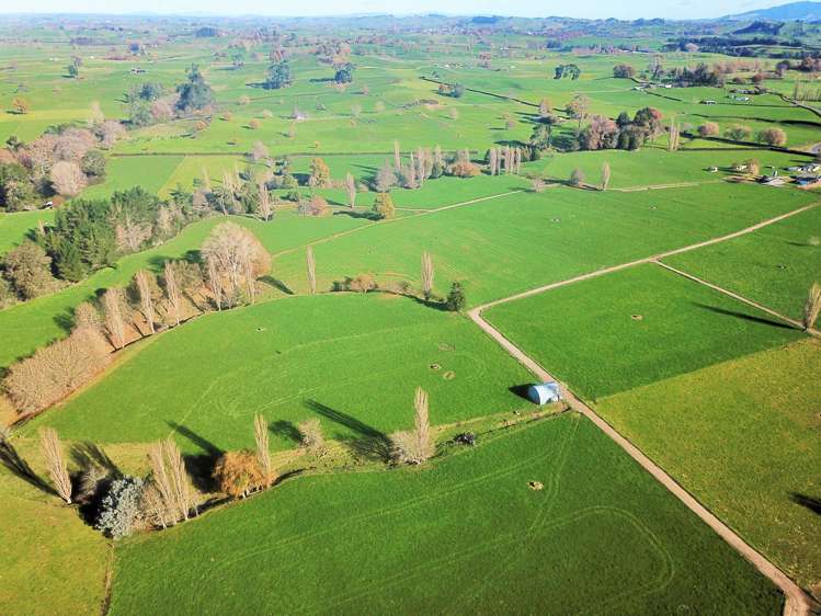 240 Bayly Road South Waikato_20