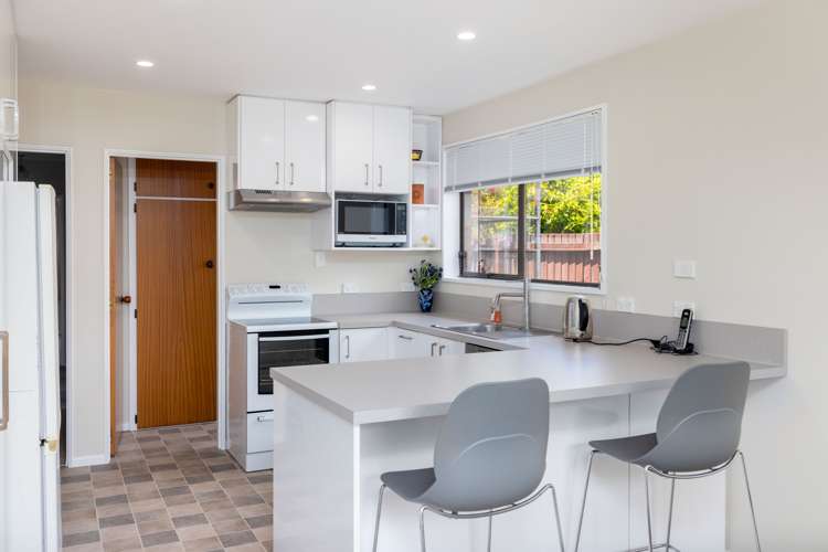 53 Waratah Street Avondale_5