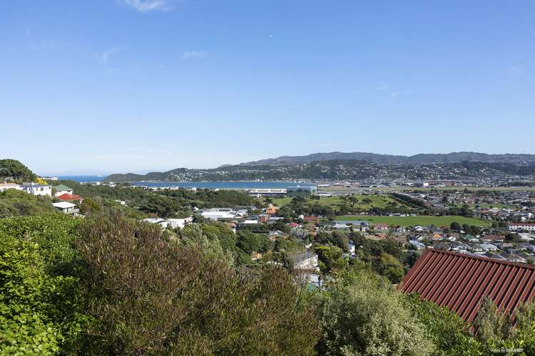 93a Tannadyce Street Strathmore Park_10