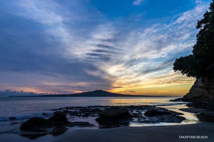 1/41 Francis Street Hauraki_21