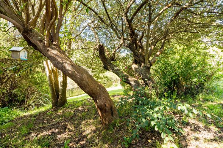 23 Solar Terrace Broad Bay_33