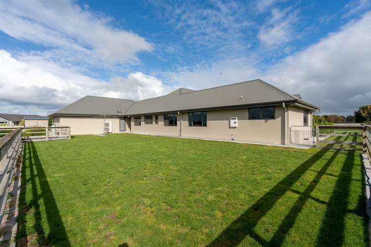 826 Piako Road Gordonton_24