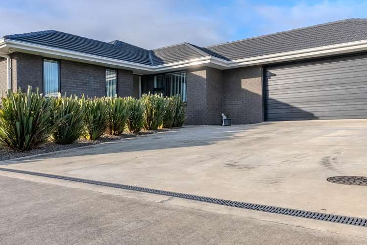 1 Monarch Drive Ashhurst_1