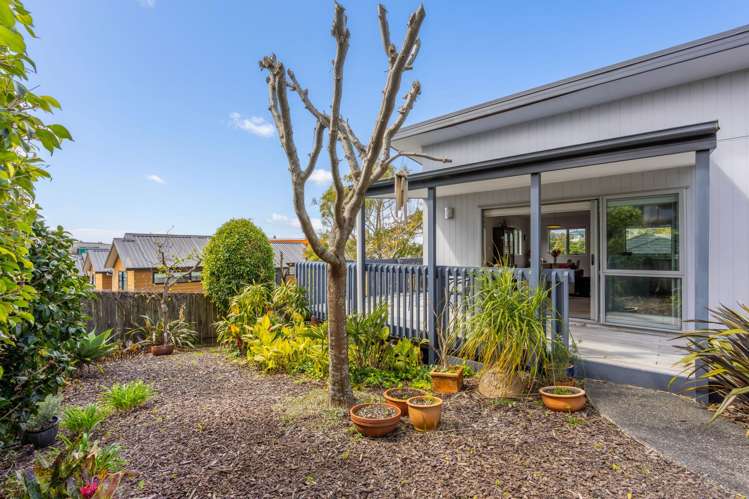 11a Rishworth Avenue Stanmore Bay_15