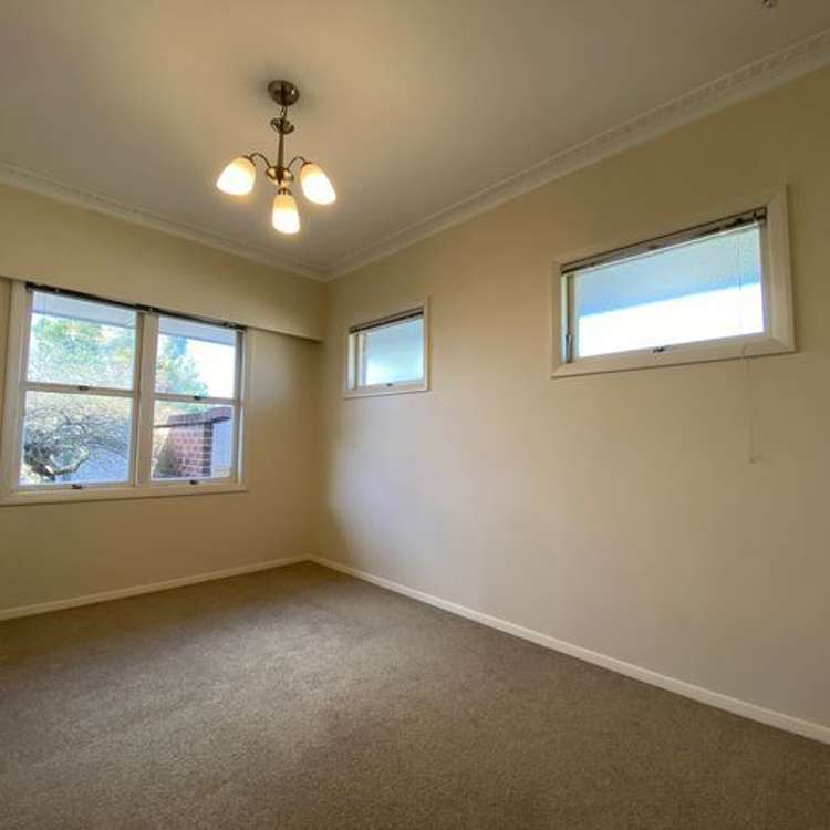 217 Elizabeth Avenue Te Awamutu_10