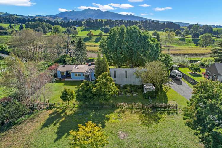 46 Parry Street Pirongia_1