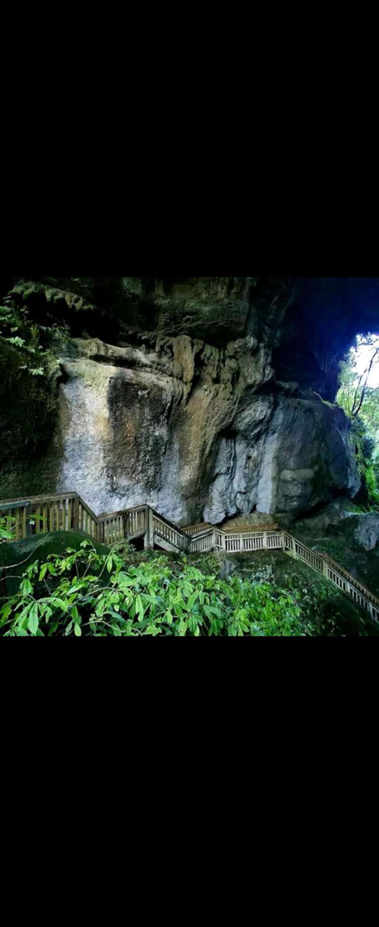 5 Marokopa Road Te Anga_7