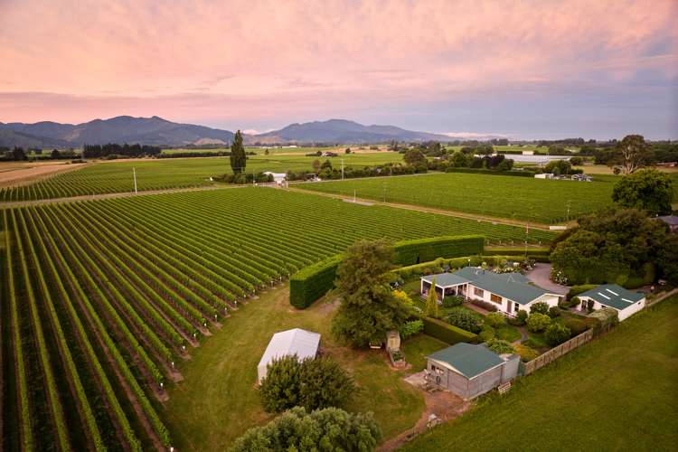 22 Burnside Avenue Springlands_0