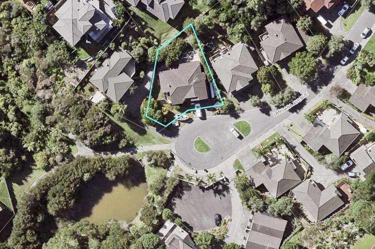 24 Langana Avenue Browns Bay_25