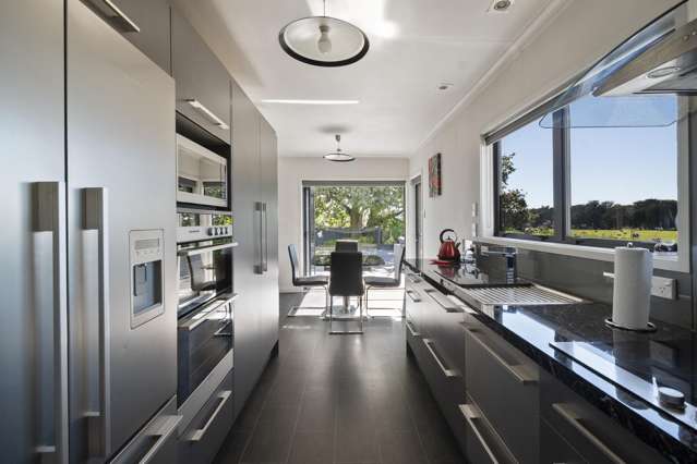 22 Ward Street Bulls_4