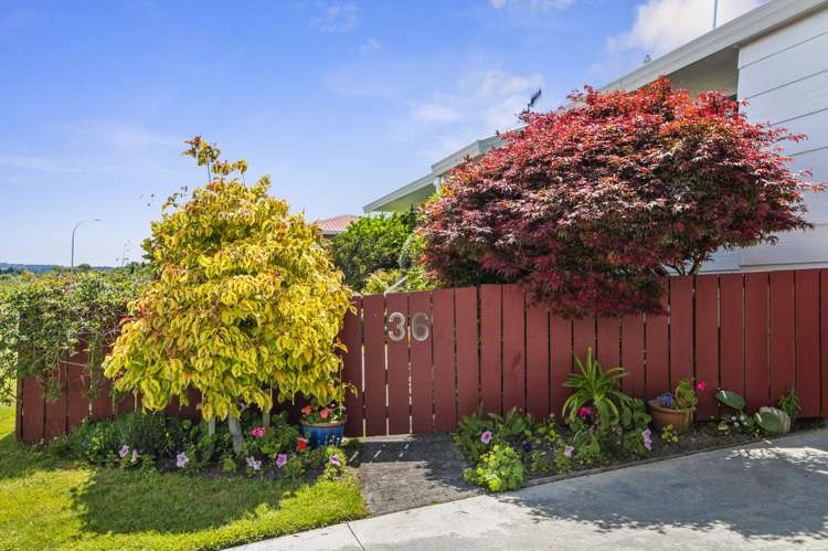 36 Hall Road Ngongotaha_21