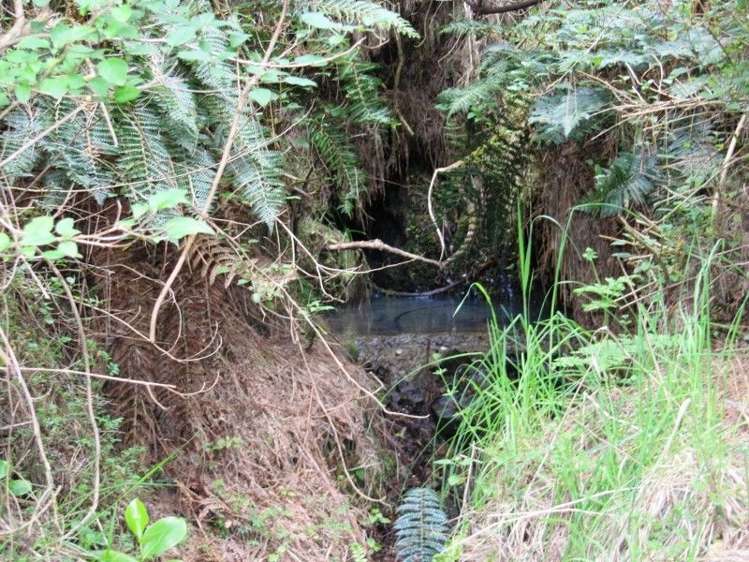 2213 Te Moana Road Geraldine_8