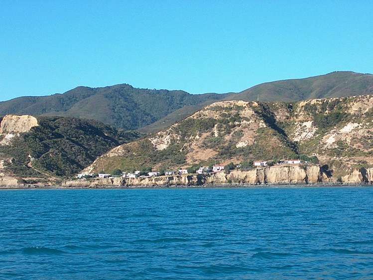 1596 Cape Palliser Road Cape Palliser_19