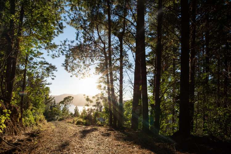 1892 Port Underwood Road Port Underwood_9