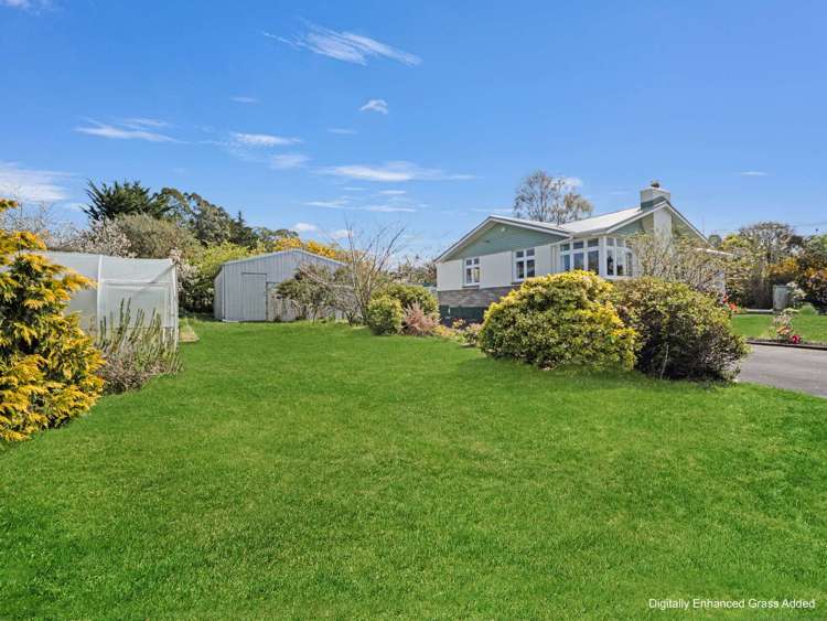 129 Dunback Road Palmerston_31