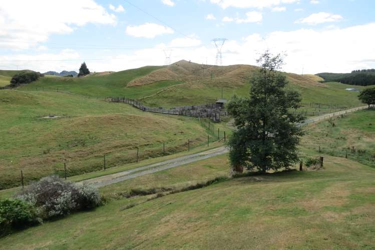 17 Hingarae Road Tihoi_5