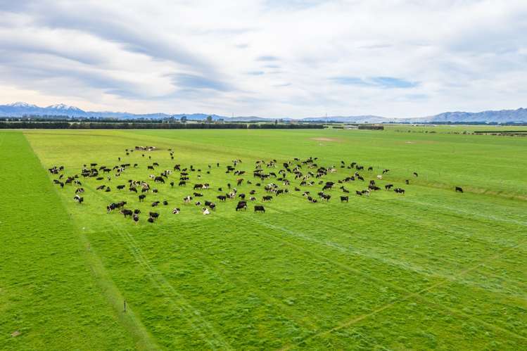 107a-E Mouse Point Road Culverden_7