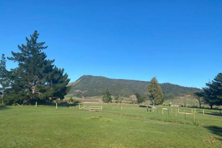 21 Pakawau-Bush Road Kahurangi National Park_19