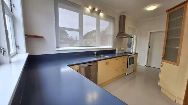  23 Norman Street Vogeltown_3