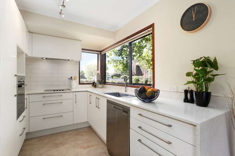 7 Balmer Lane Mount Eden_4