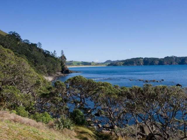 115 Radar Road Hot Water Beach_1