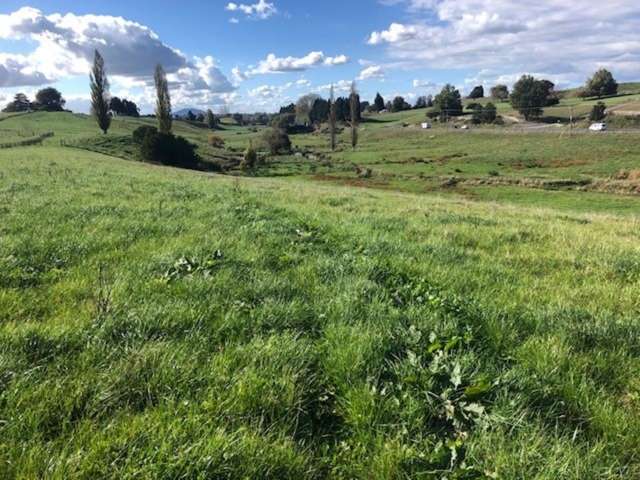 State Highway 3 Waitomo_1