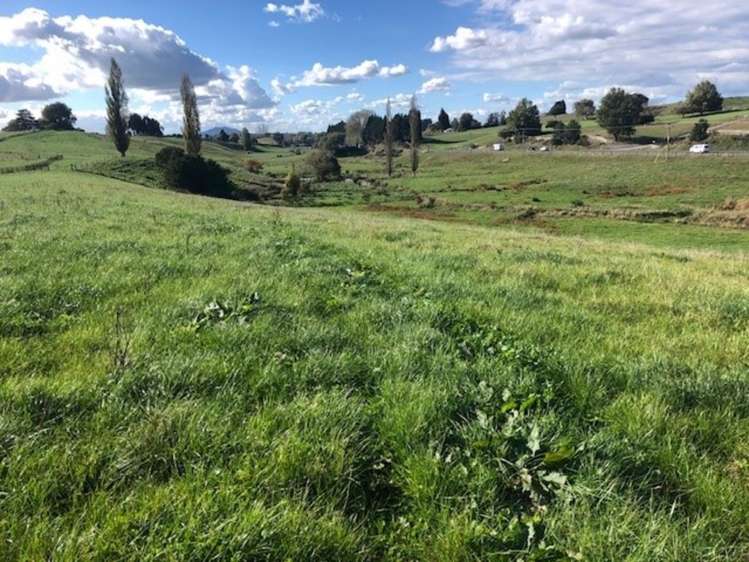 State Highway 3 Waitomo_1