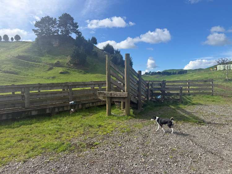 141 Puketirau Road Tirau_30