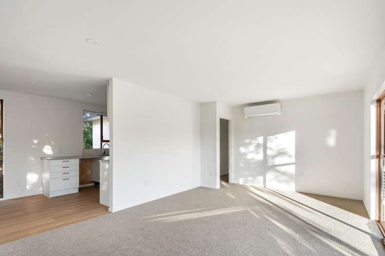 66 Wildish Street Outer Kaiti_4