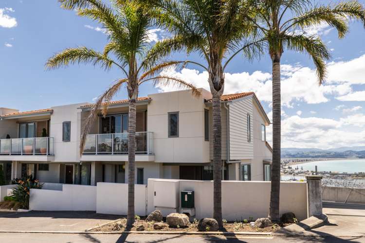 12/24 Hospital Terrace Hospital Hill_21