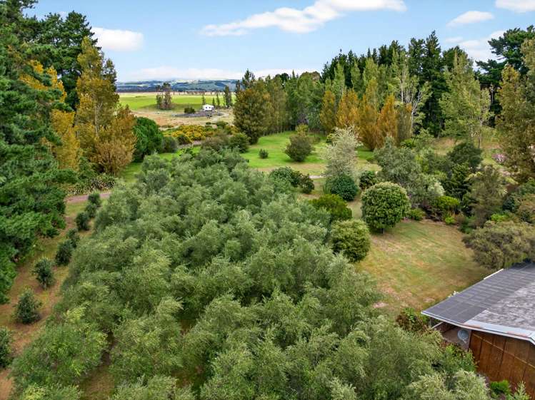 1001 Kahutara Road Kahutara_14