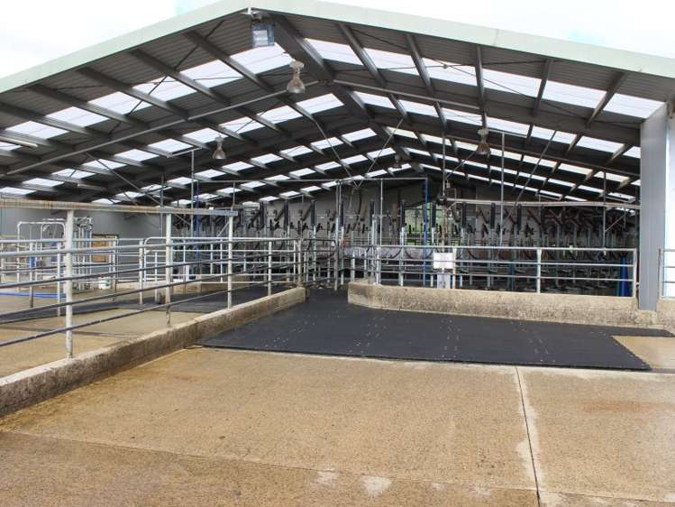 380 Matheson Road Catlins Surrounds_9