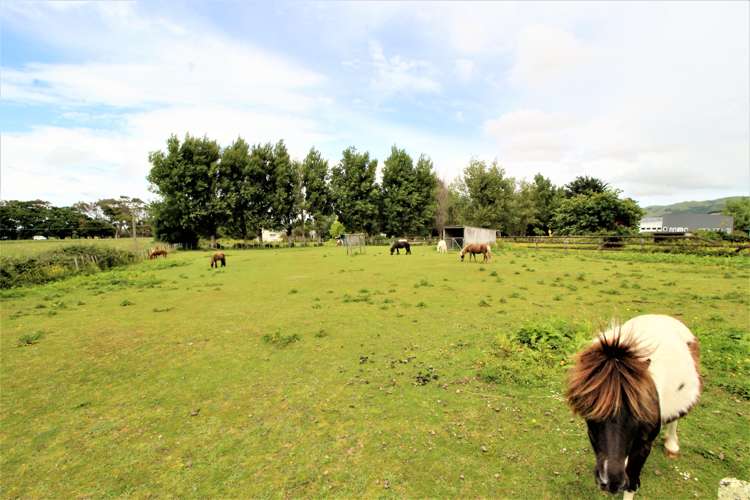 9 Hampson Street Woodville_13