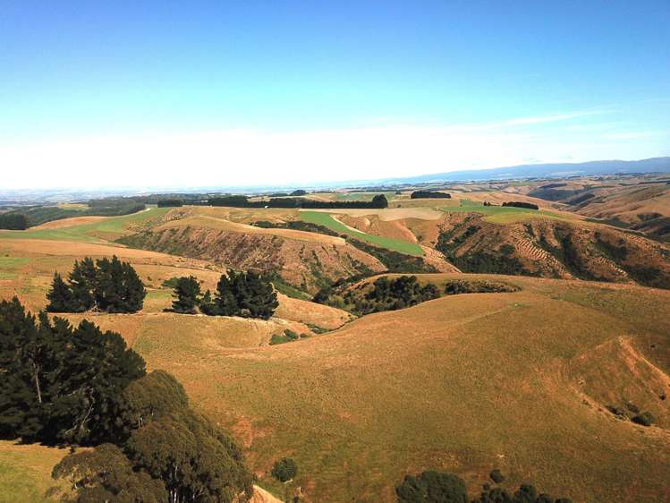 890 Mount Stuart Road Balclutha_9