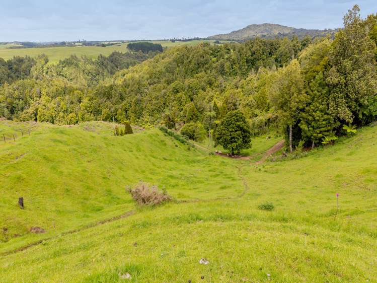 8 Shaw Road Te Ranga_10