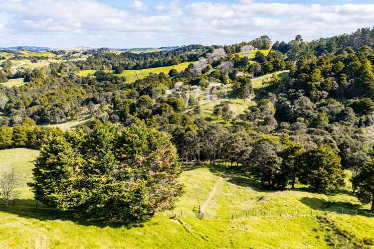 318 Franklin Road Paparoa_41